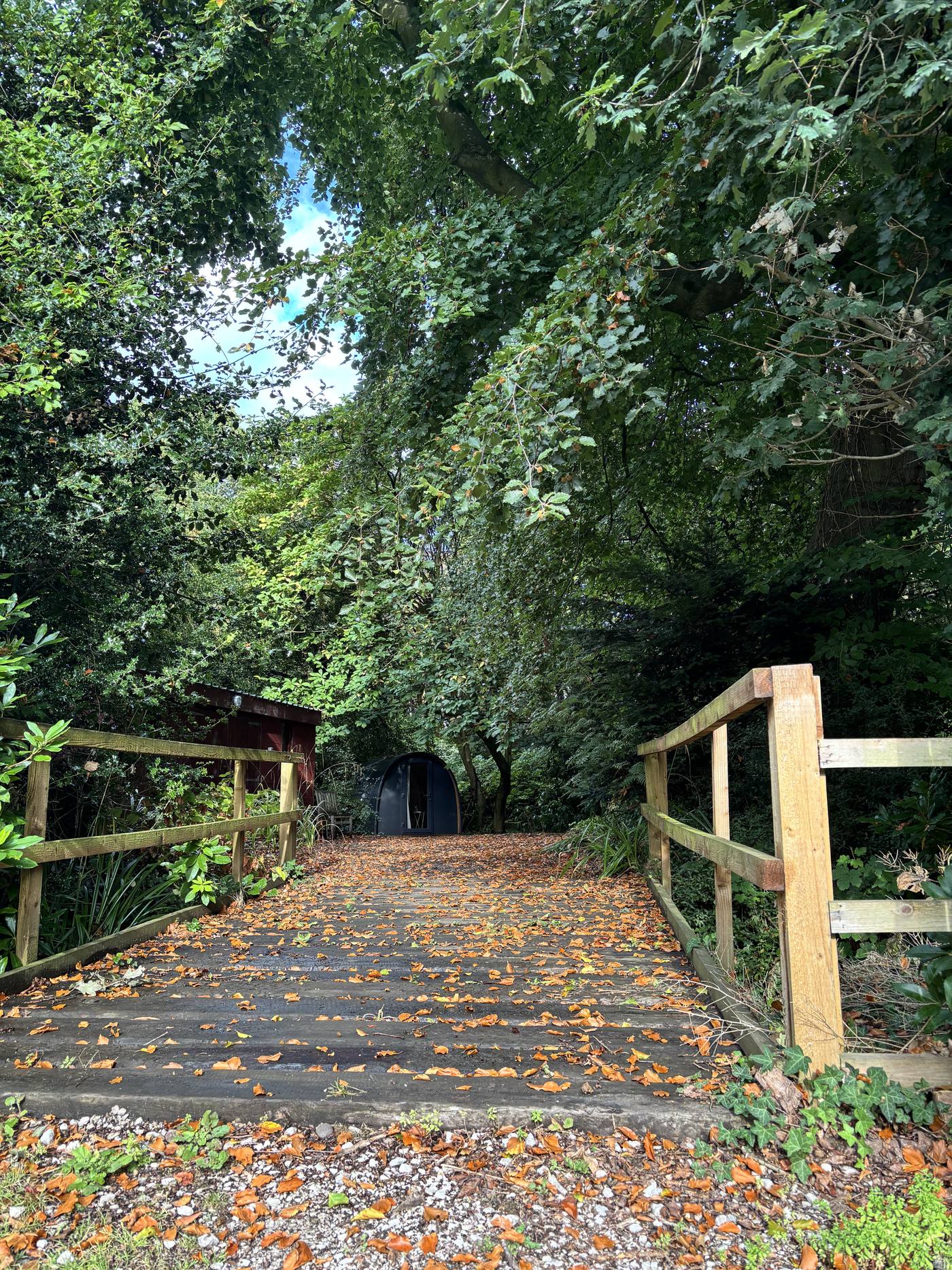 A wooden boardwalk leading through the woodland to one of the pods