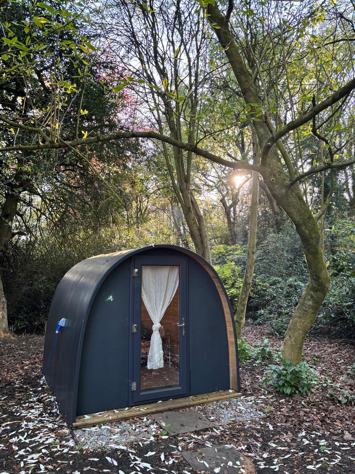 A Vicarage Gardens pod lit from within at dusk, tucked among bare woodland trees
