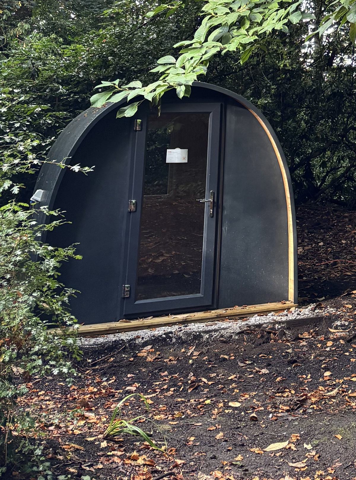 Bluebell pod exterior among the trees at Vicarage Gardens