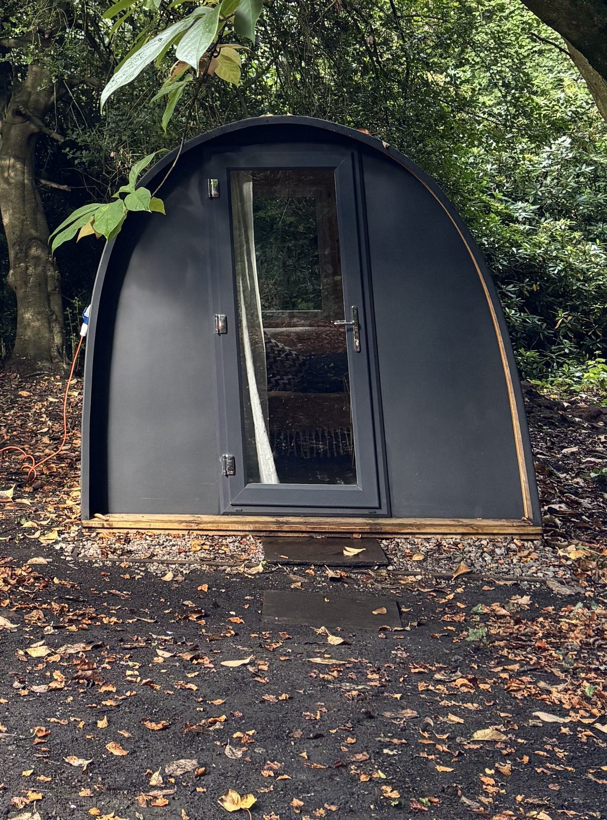 Foxglove pod exterior among the trees at Vicarage Gardens