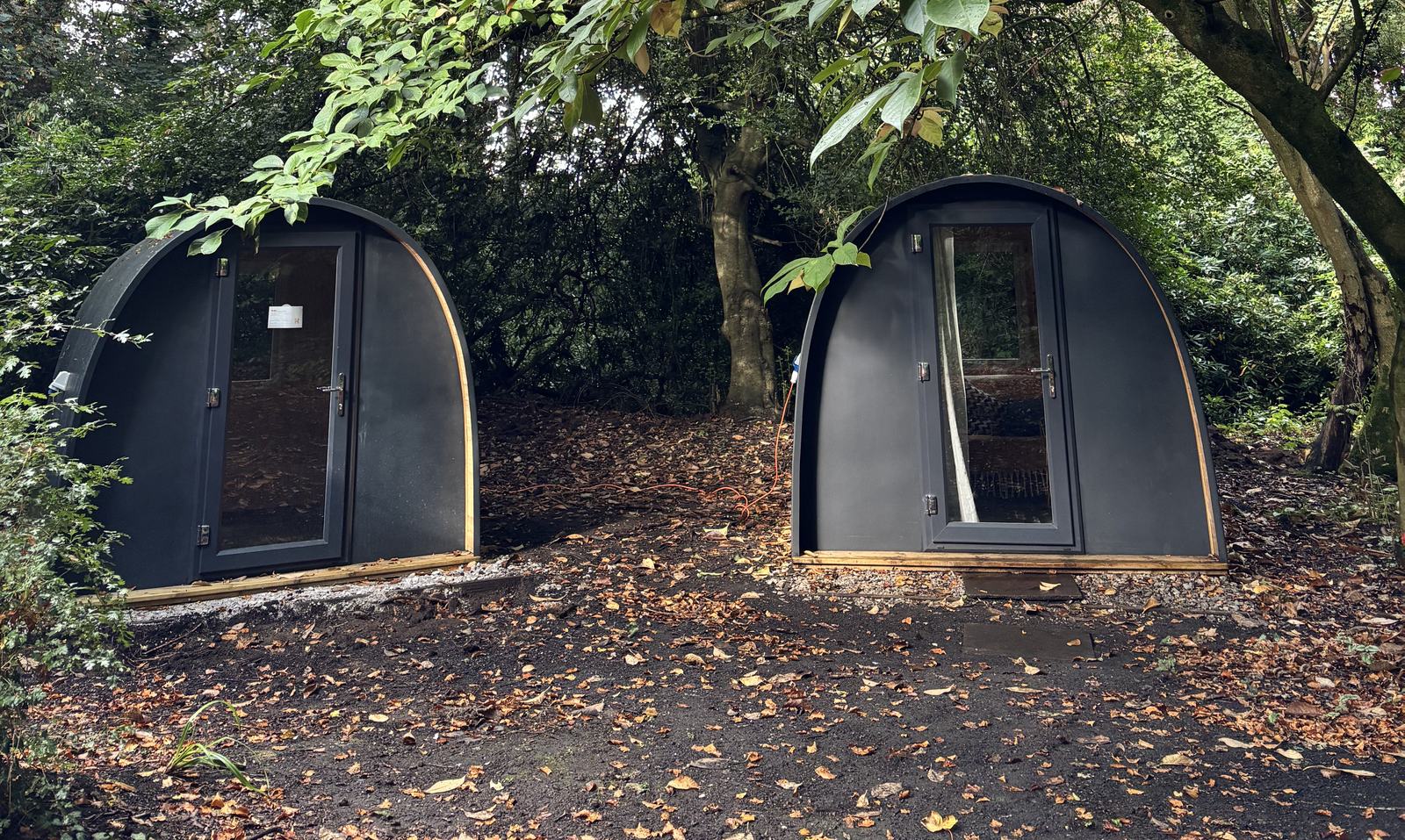 Both Vicarage Gardens pods standing side by side in the woodland