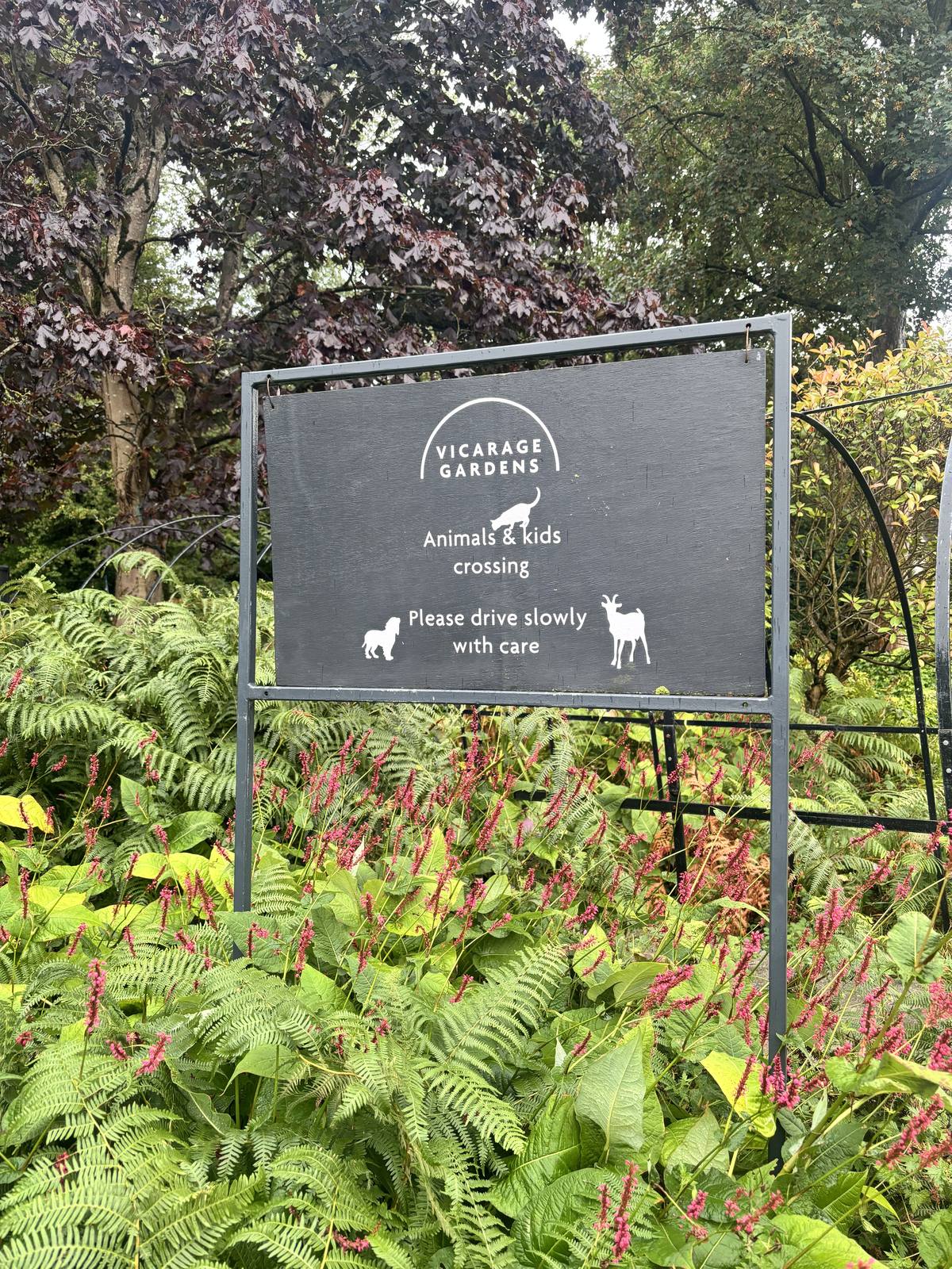 A hand-painted Vicarage Gardens sign reading 'Animals & kids crossing, please drive slowly with care', set among ferns